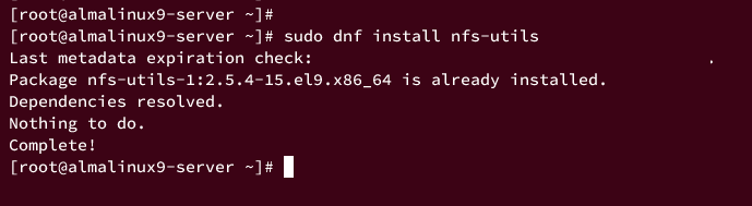 installing nfs