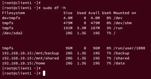checking mounted nfs server