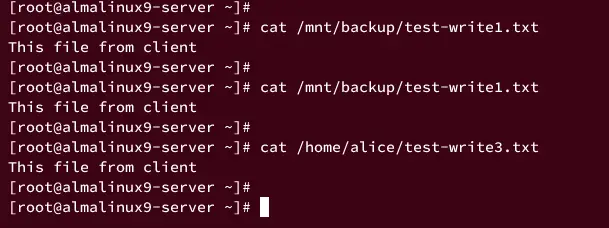 verify files from nfs server