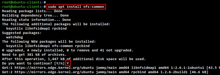install nfs client