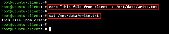 test write nfs server