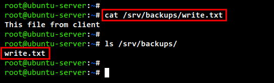 test write nfs server
