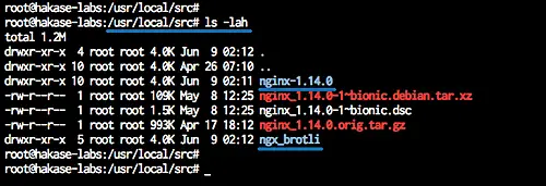 Download Nginx and ngx_brotli source files