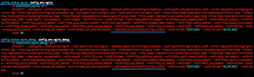 Build Nginx with ngx_brotli Support