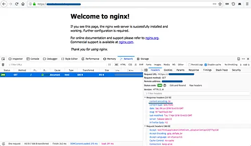 Nginx test page