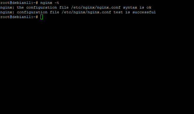 checking Nginx configuration debian 11