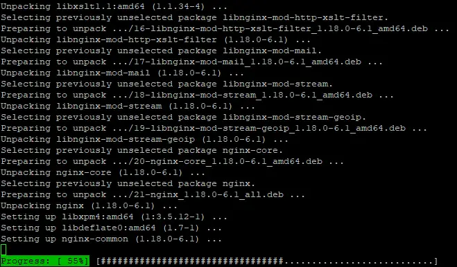 install nginx