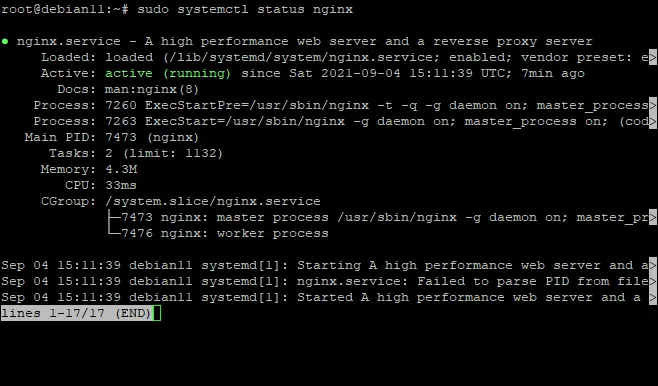 status nginx