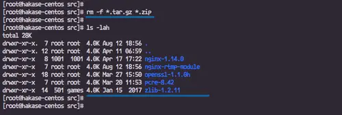 Nginx sources downloaded