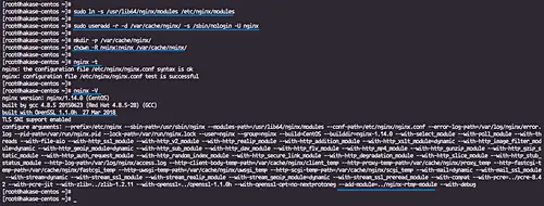 Nginx compiled successfully