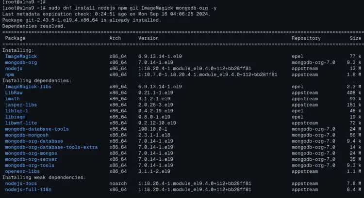 installing packages
