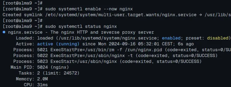 check nginx
