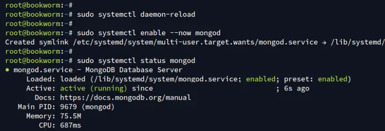 check mongodb