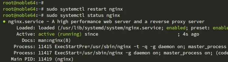 check nginx