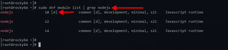 Check Node.js repository module Rocky Linux