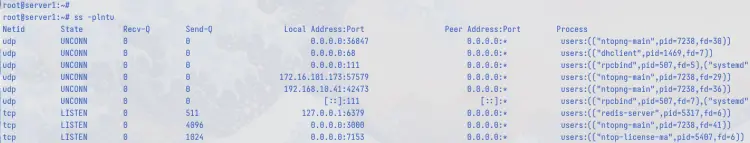 check port