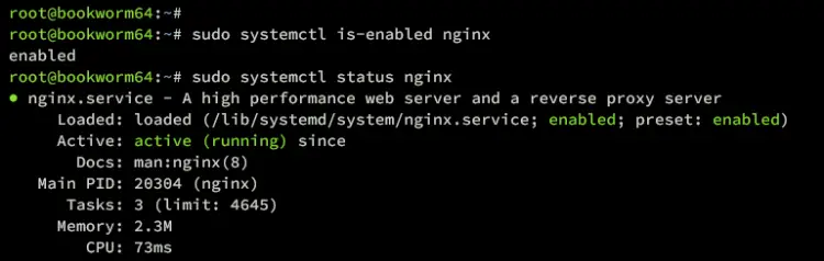 check nginx