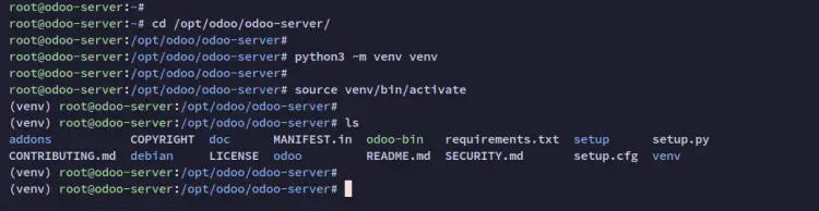 setup python venv