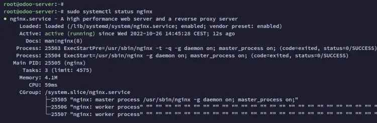 check nginx