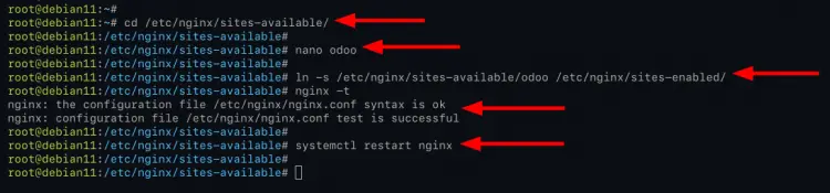 Setup Nginx as Reverse Proxy Odoo