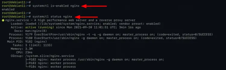 Verify Nginx Installation