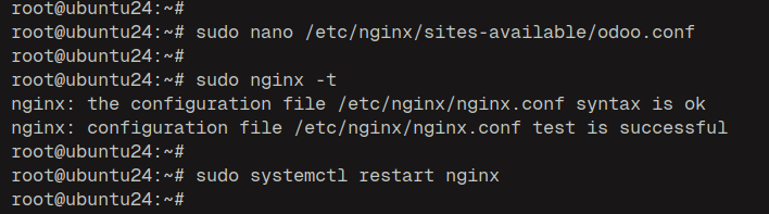check nginx