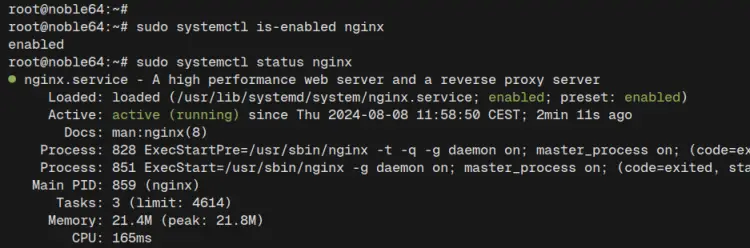 check nginx