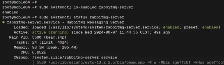 check rabbitmq