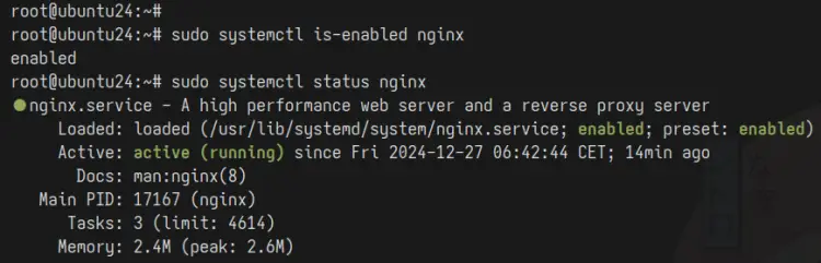 check nginx