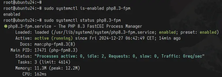 check php-fpm