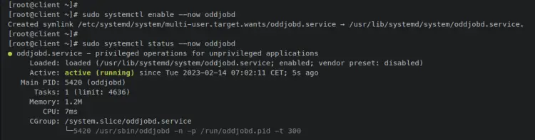 verify oddjobd service