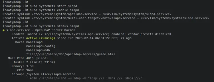 verify openldap slapd