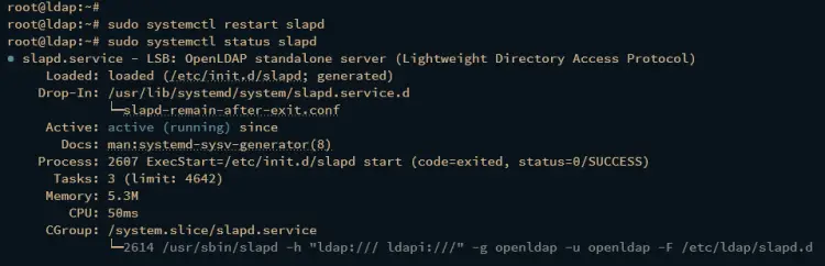verify openldap service