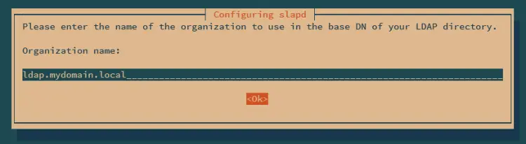 organization name