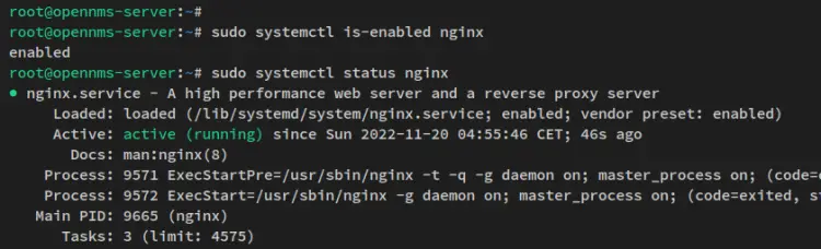 check nginx