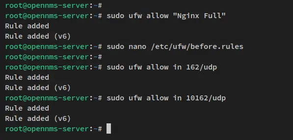 ufw nginx