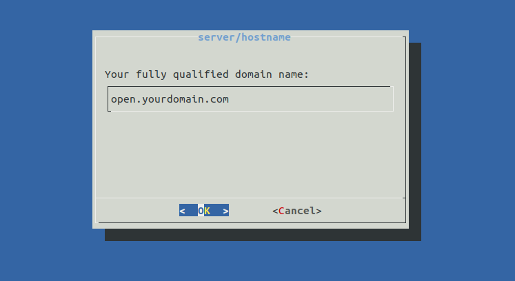 System domain name