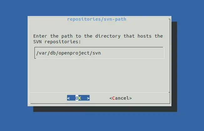 SVN path
