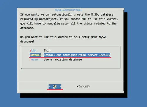 Configure OpenProject