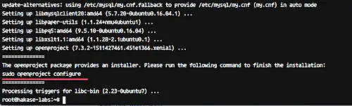 Install OpenProject