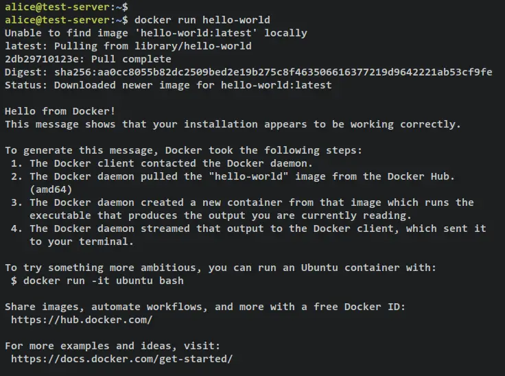 verify docker