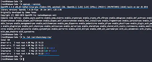 Install OpenVPN