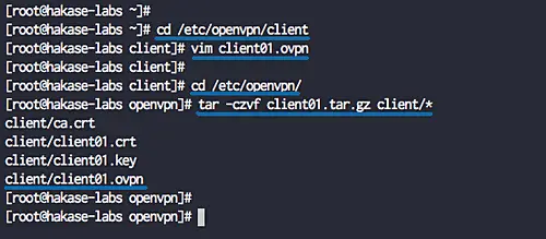 OpenVPN Client Setup