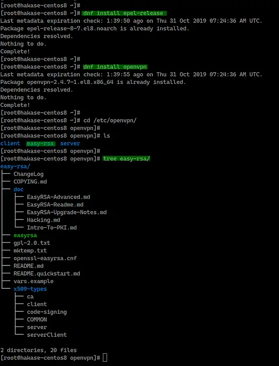 Install openvpn on CentOS 8