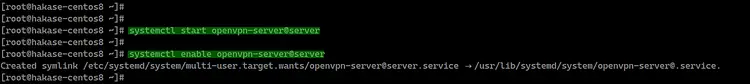 Start openvpn