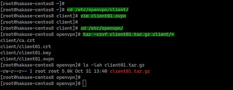 OpenVPN Client Setup