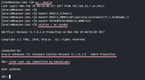 SQLPlus Oracle Database