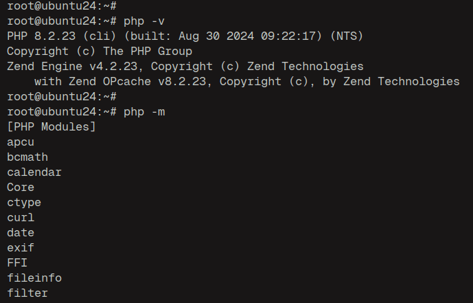 check php version