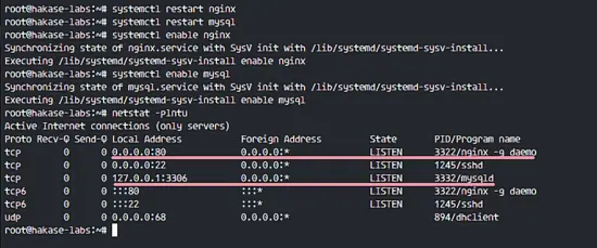 Nginx and MySQL are running