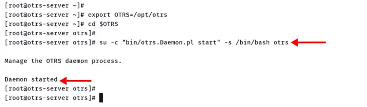 start otrs daemon